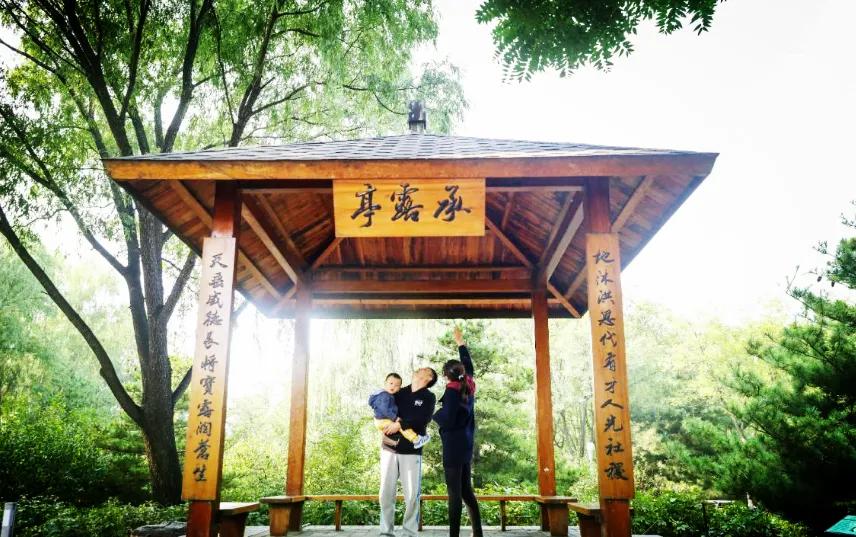 海淀公园相亲小程序,海淀公园相亲角