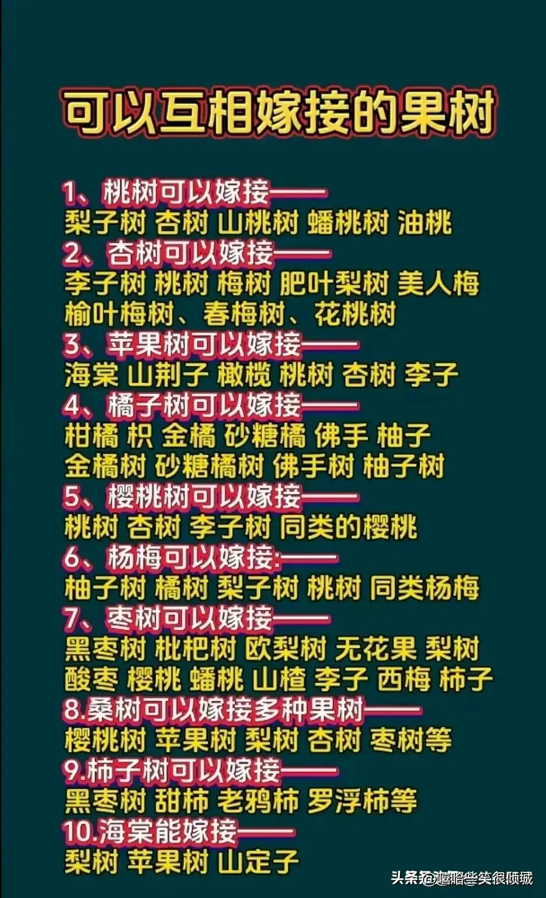 终于有人把“转基因玉米”整理好了，不知道的收藏看看