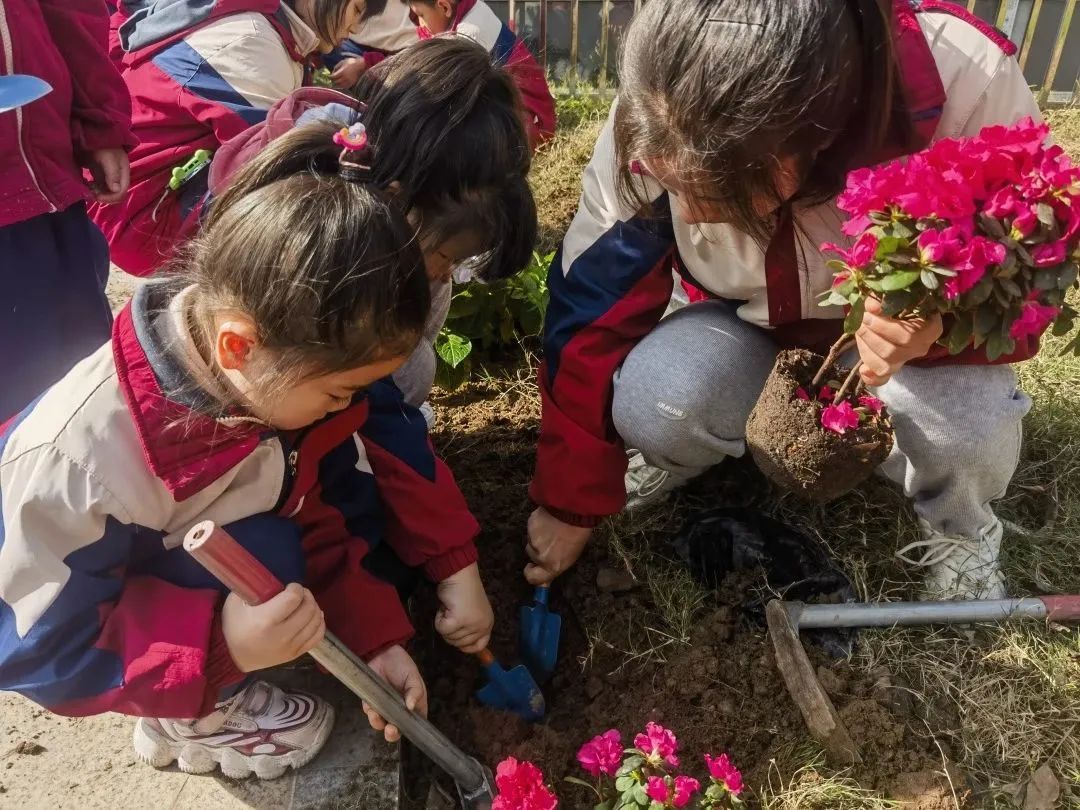 洪雅县第四幼儿园叫什么名字,洪雅第四幼儿园在哪里