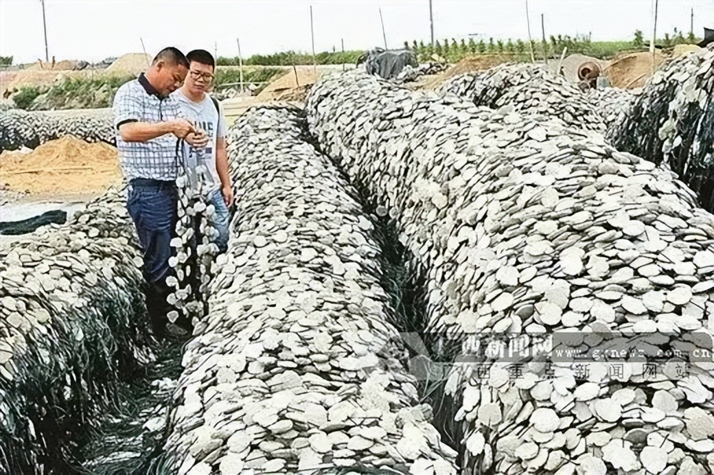 航拍中国广西第四季解说词,航拍中国第四季广西在哪看