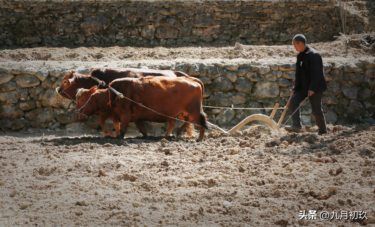 人工智能行业哪个岗位最吃香,未来十大工作不会被人工智能代替