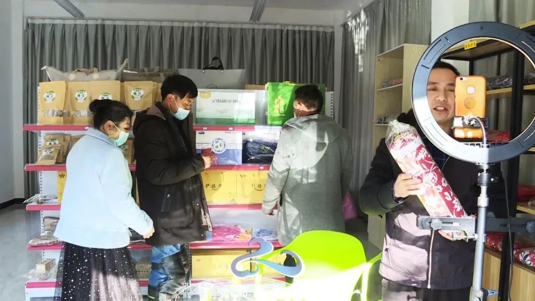 优秀电商站点展示|何家岩：电商携‘艾’出秦岭特色产业促增收