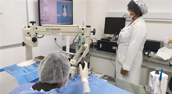 脑机接口技术让患者重新说话,脑机接口和脑科学的最新研究发展