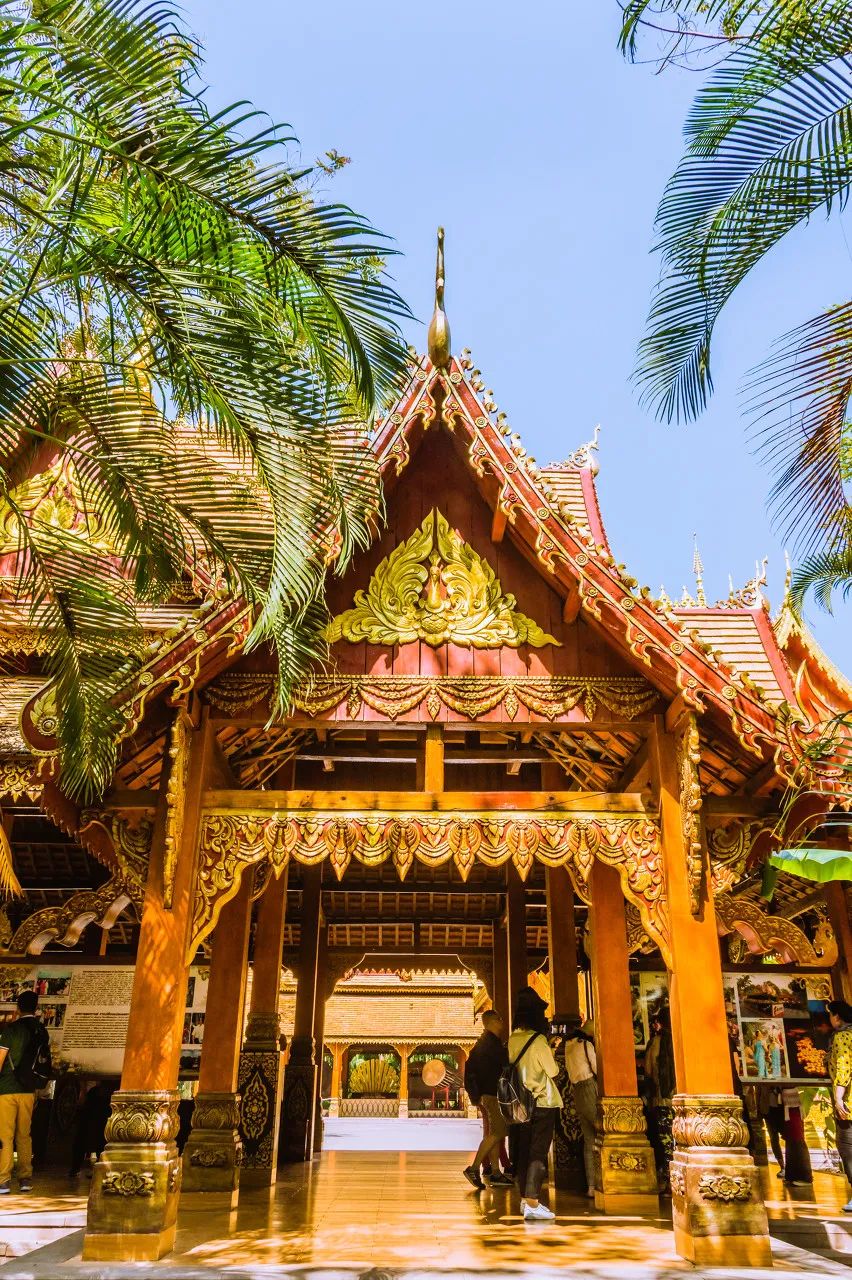 西双版纳体验雨林,吃遍热带水果西双版纳