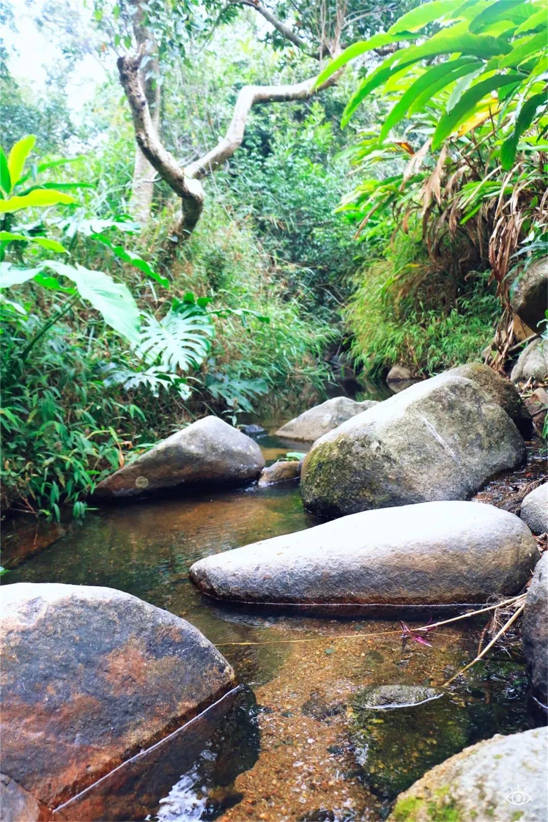 深圳户外好玩的地方推荐,深圳游玩景点户外推荐