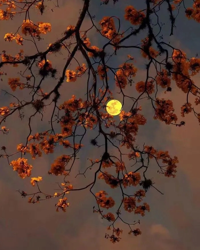 我的一段恋爱经历,回忆我的恋爱经历