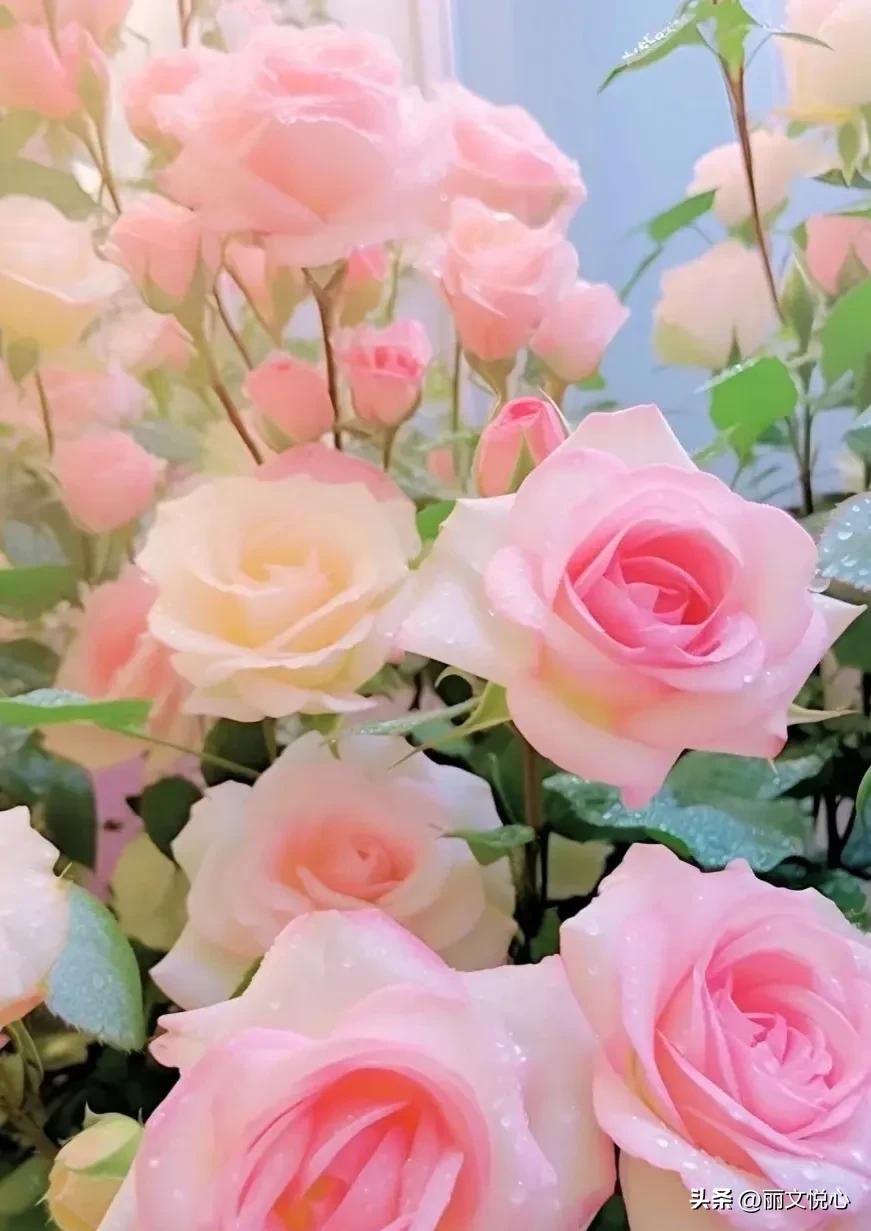 灵魂的感悟什么意思,灵魂的感悟