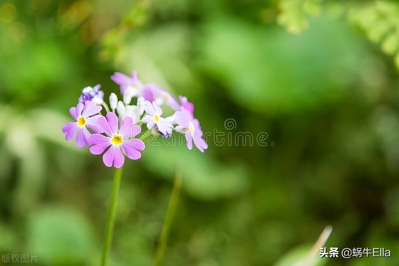 良好的第一印象对客户有什么作用,如何留下良好的第一印象