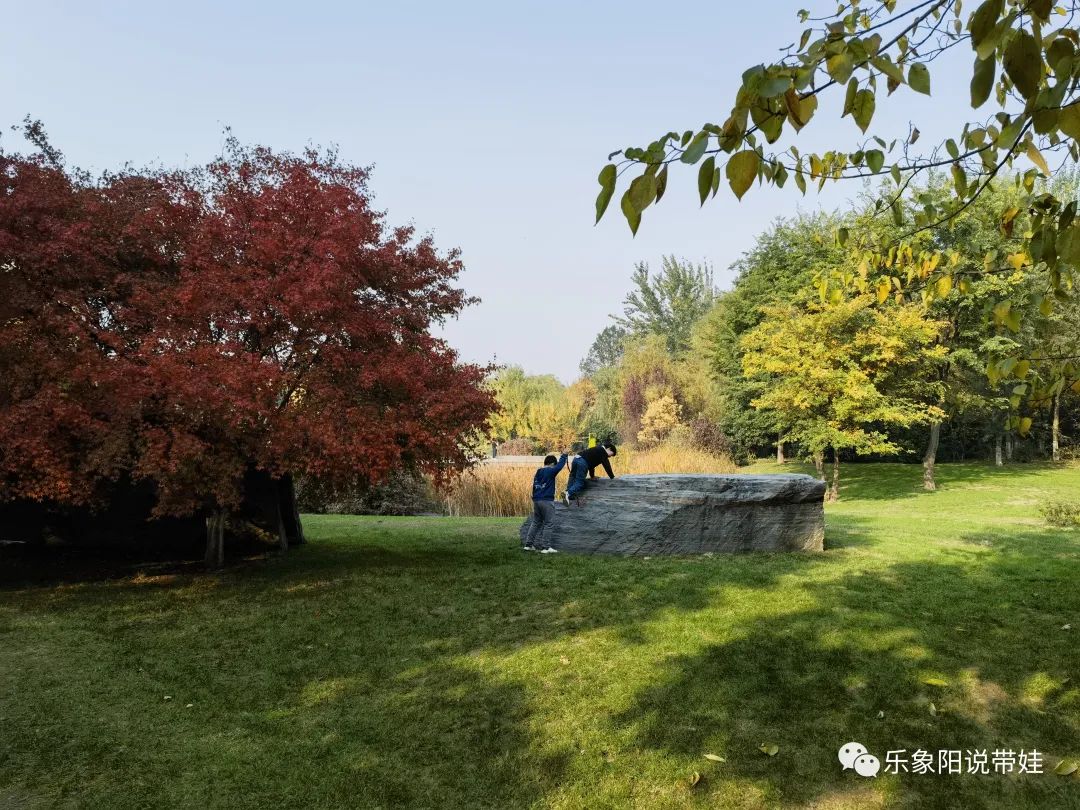 时间都去哪儿了小品完整版,时间都去哪儿了感悟