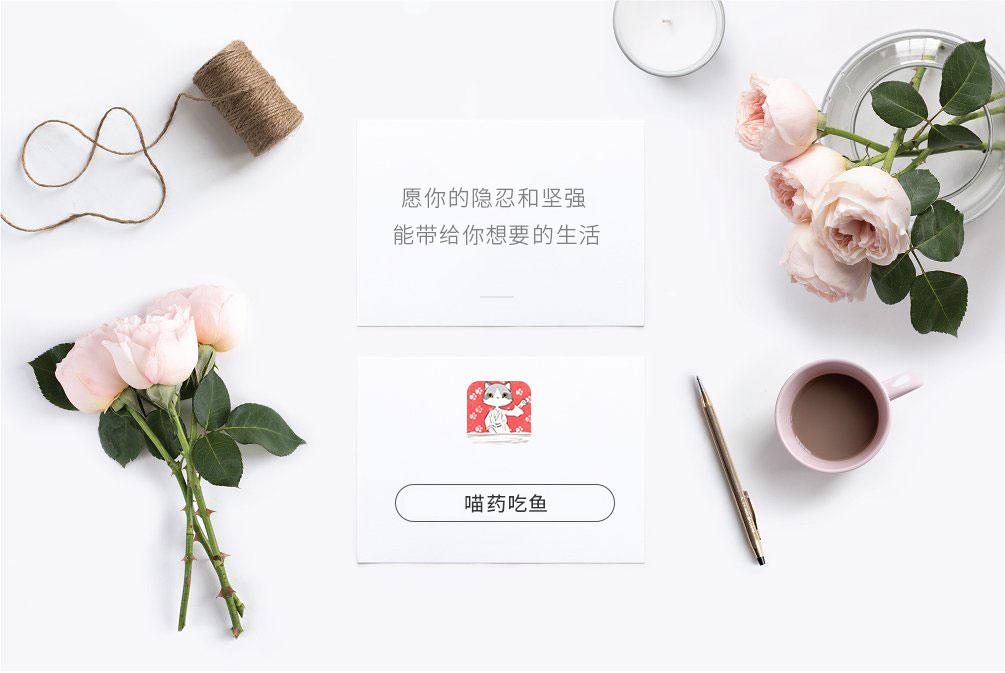 路上遇到流浪猫怎么办？不忍心看它这样居无定所，你可以这样做