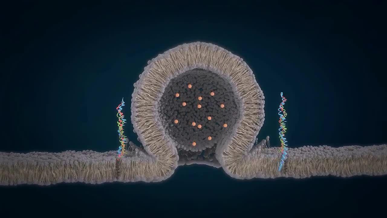 甲钴胺片治疗身体哪个地方的神经,甲钴胺治疗神经每天吃几片最好