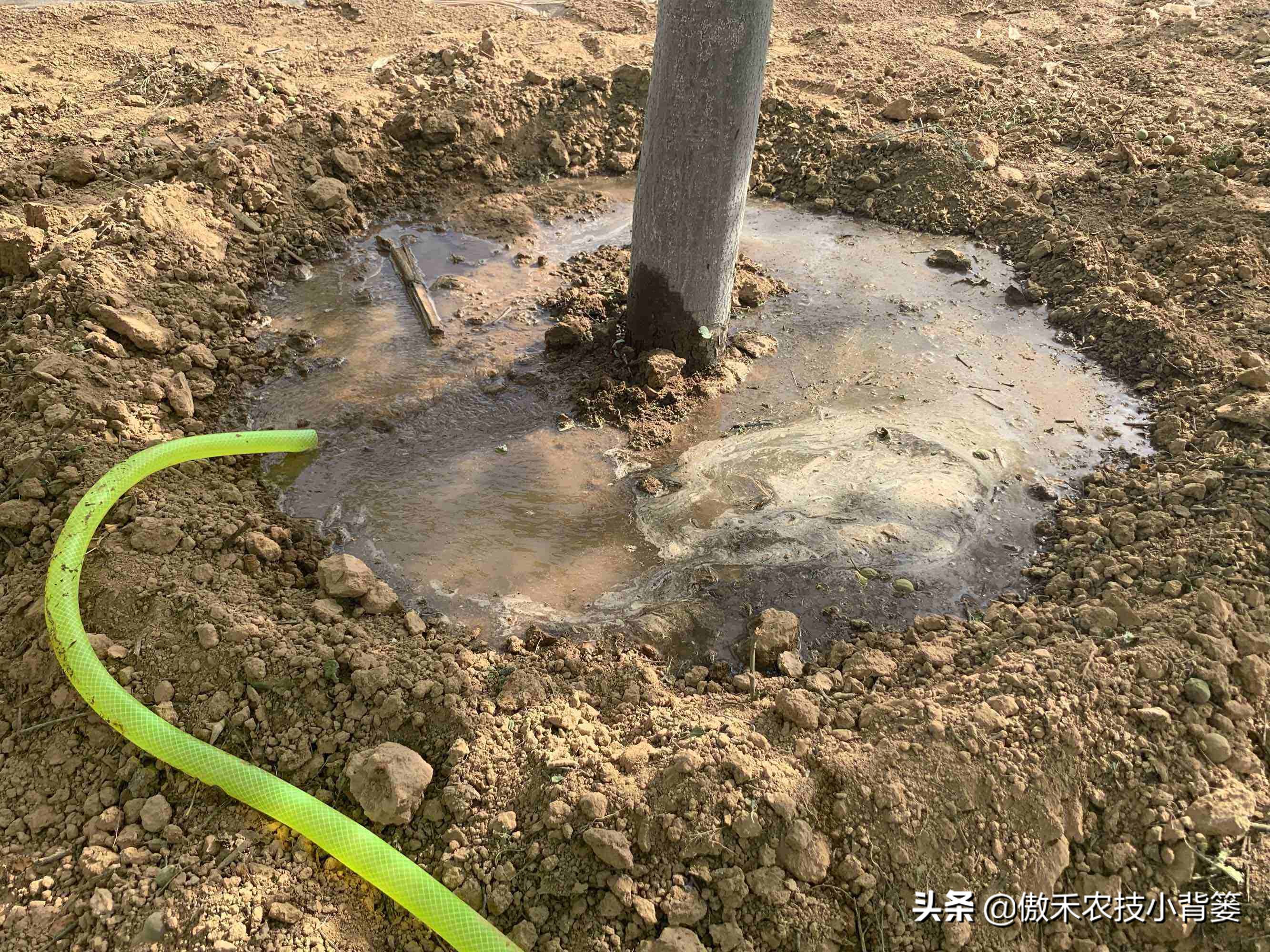 发酵微生物菌剂需要什么原料,微生物菌剂是什么怎么自己制作