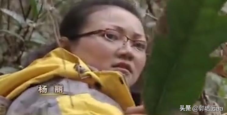 靠树叶一年赚8000万,一片树叶卖7000元