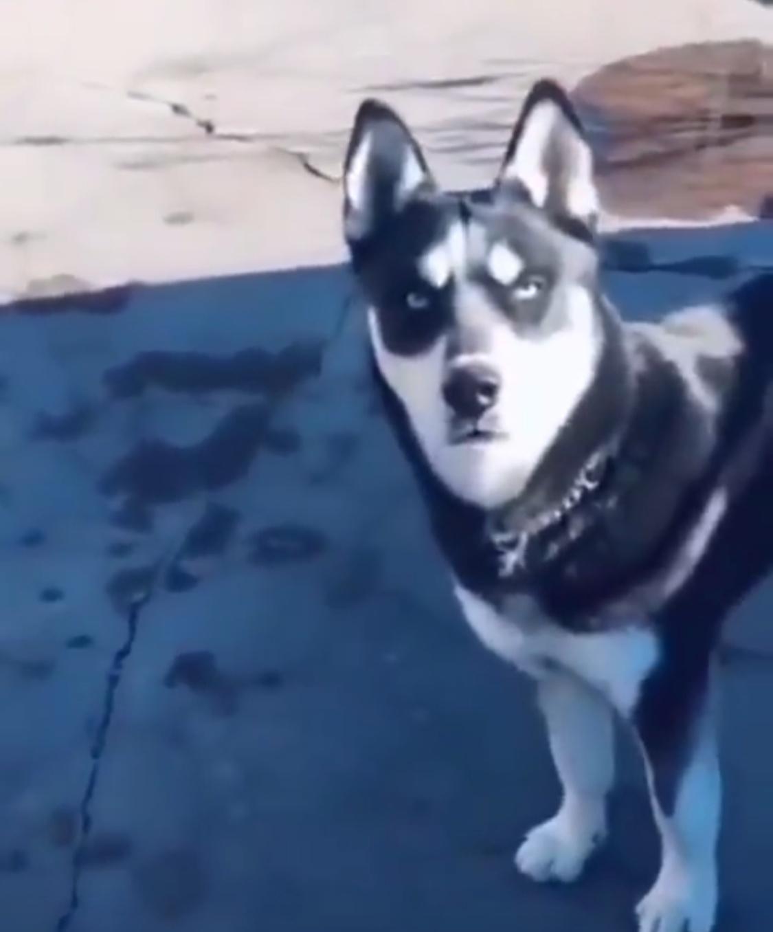 为什么女生会喜欢年纪大的女人,为什么年轻女生喜欢中年男生