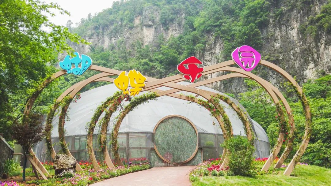 粽叶飘香迎端午非遗体验欢乐多,端午粽情景区