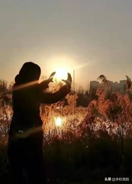 手机拍美景怎么拍,手机拍照片怎么拍风景好看