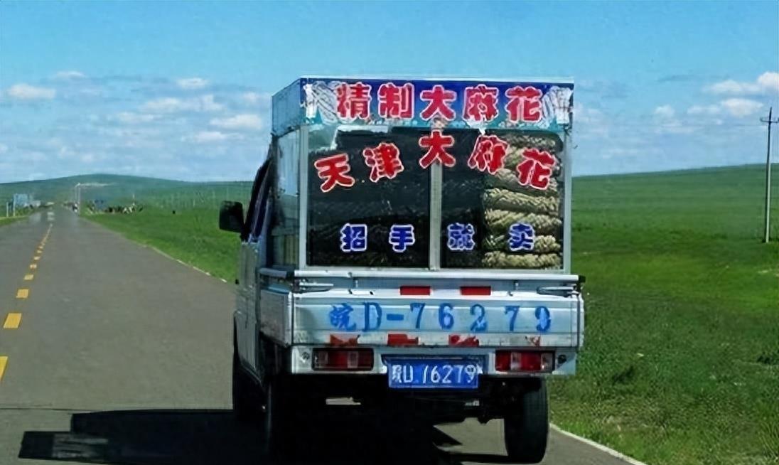 天津大麻花神秘组织真相,天津大麻花神秘组织调查视频