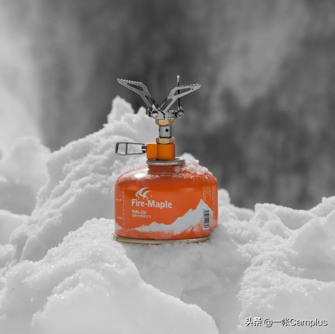 火枫现状,火枫近况