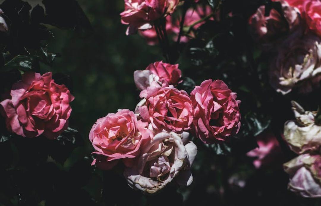 讲「东方故事」，国产香水或许更擅长