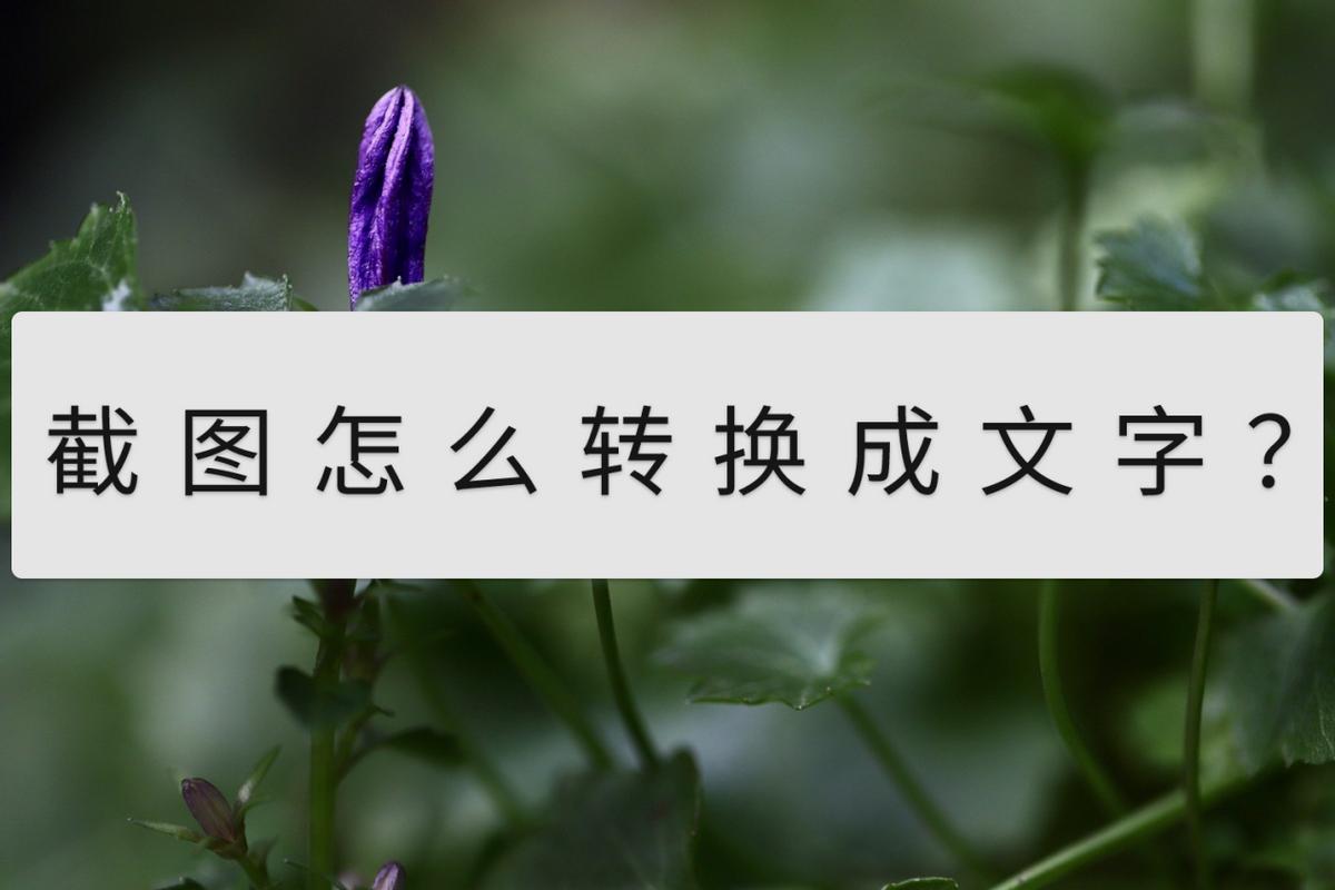 怎么把截图转换成文字并打印出来,截图怎么转换成word文字能修改的