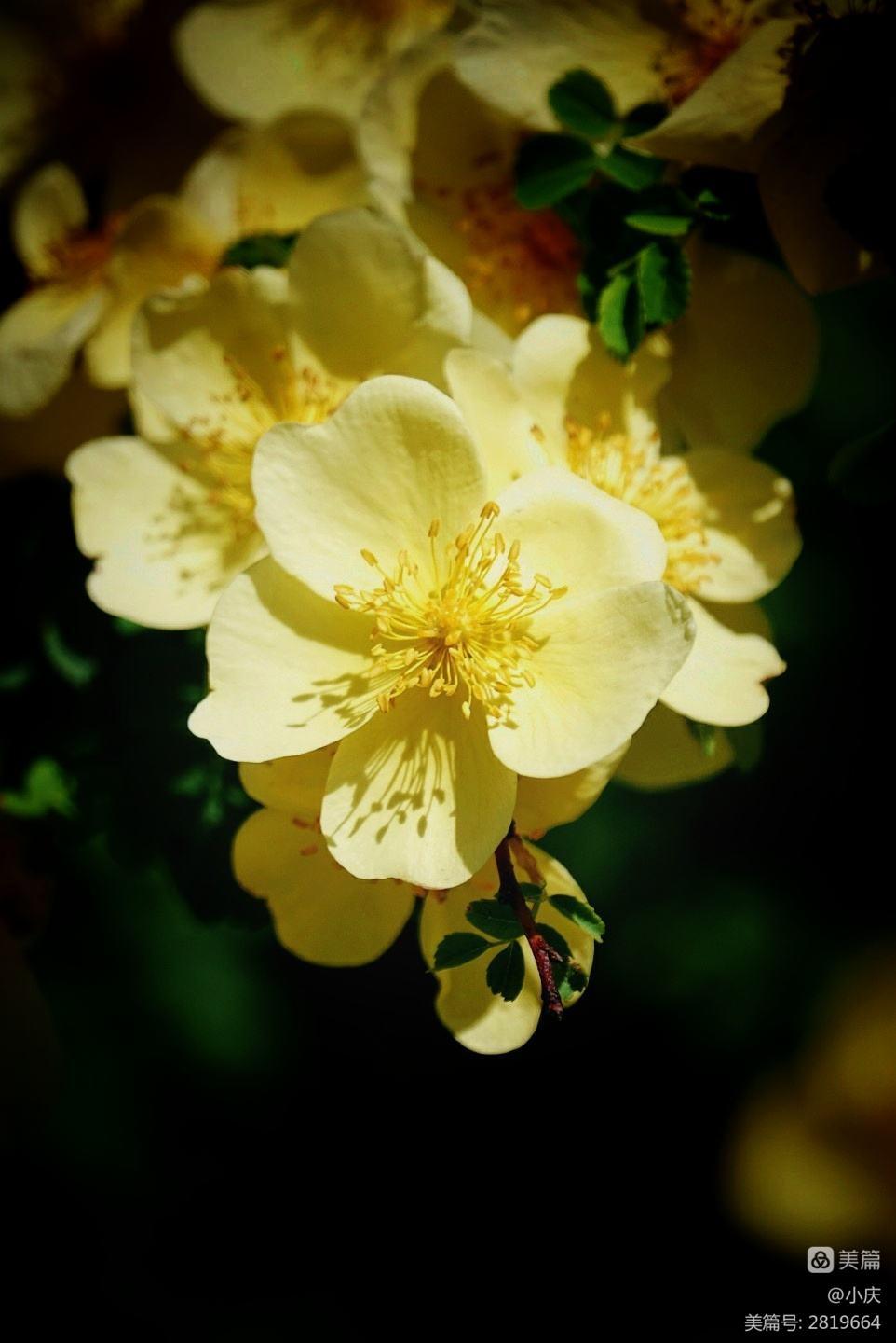 想让自己云淡风轻看淡世态炎凉,世态炎凉常让人心寒唯有做好自己