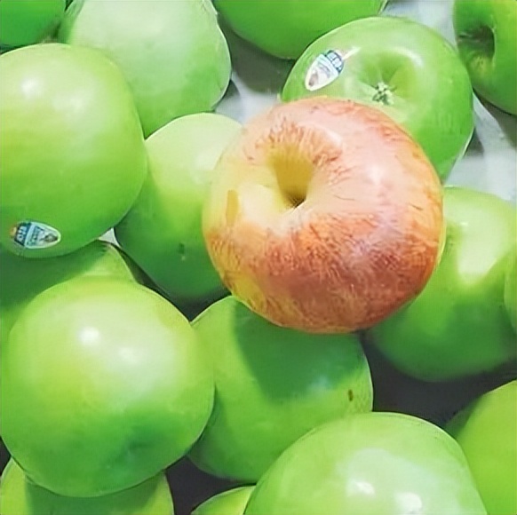 食疗护眼选择食物让你的眼睛更亮,强烈推荐10种护眼食物