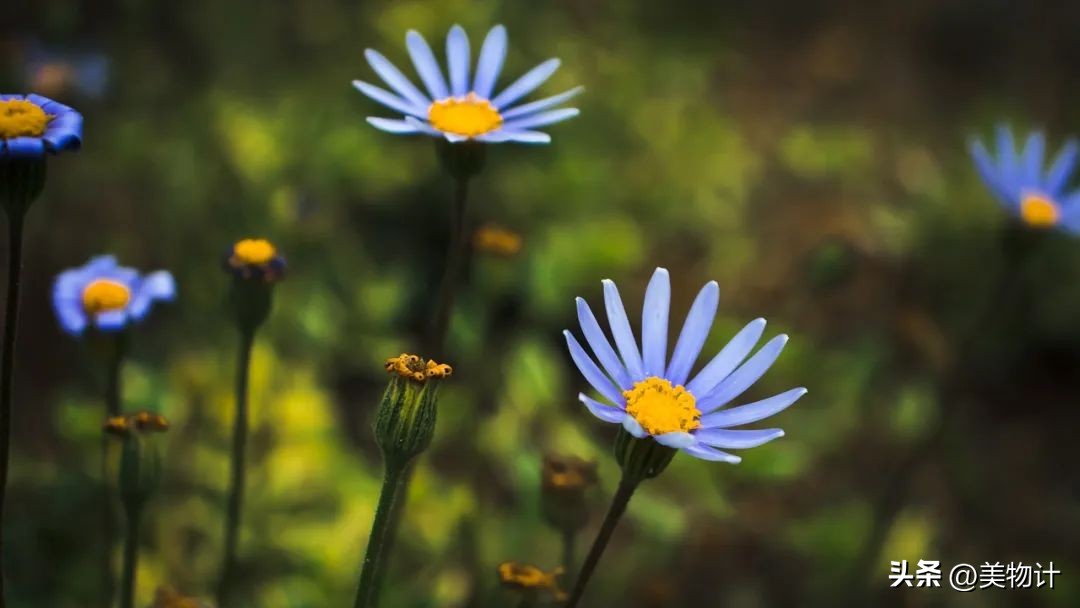 真诚厚道的人值得深交,深交看人品相处靠真诚