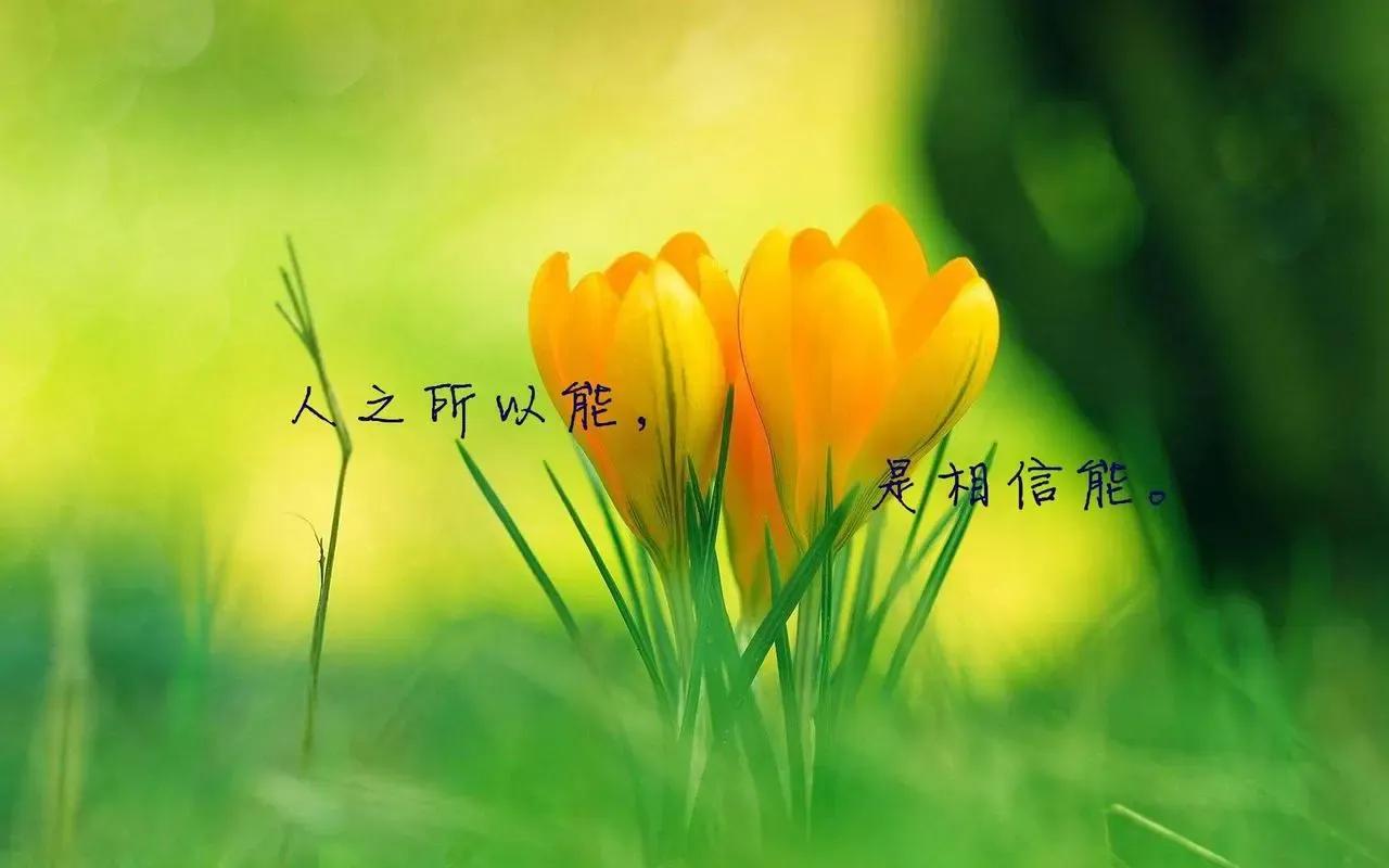 篮球和足球世界的马丁——照耀现实生活前进的路