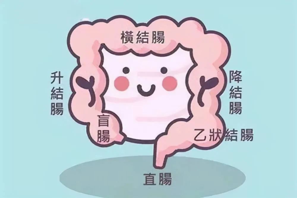在黑暗中窥见光明！河南省肿瘤医院结直肠MDT多学科专家团队让“直肠癌肝转移”患者重获新生