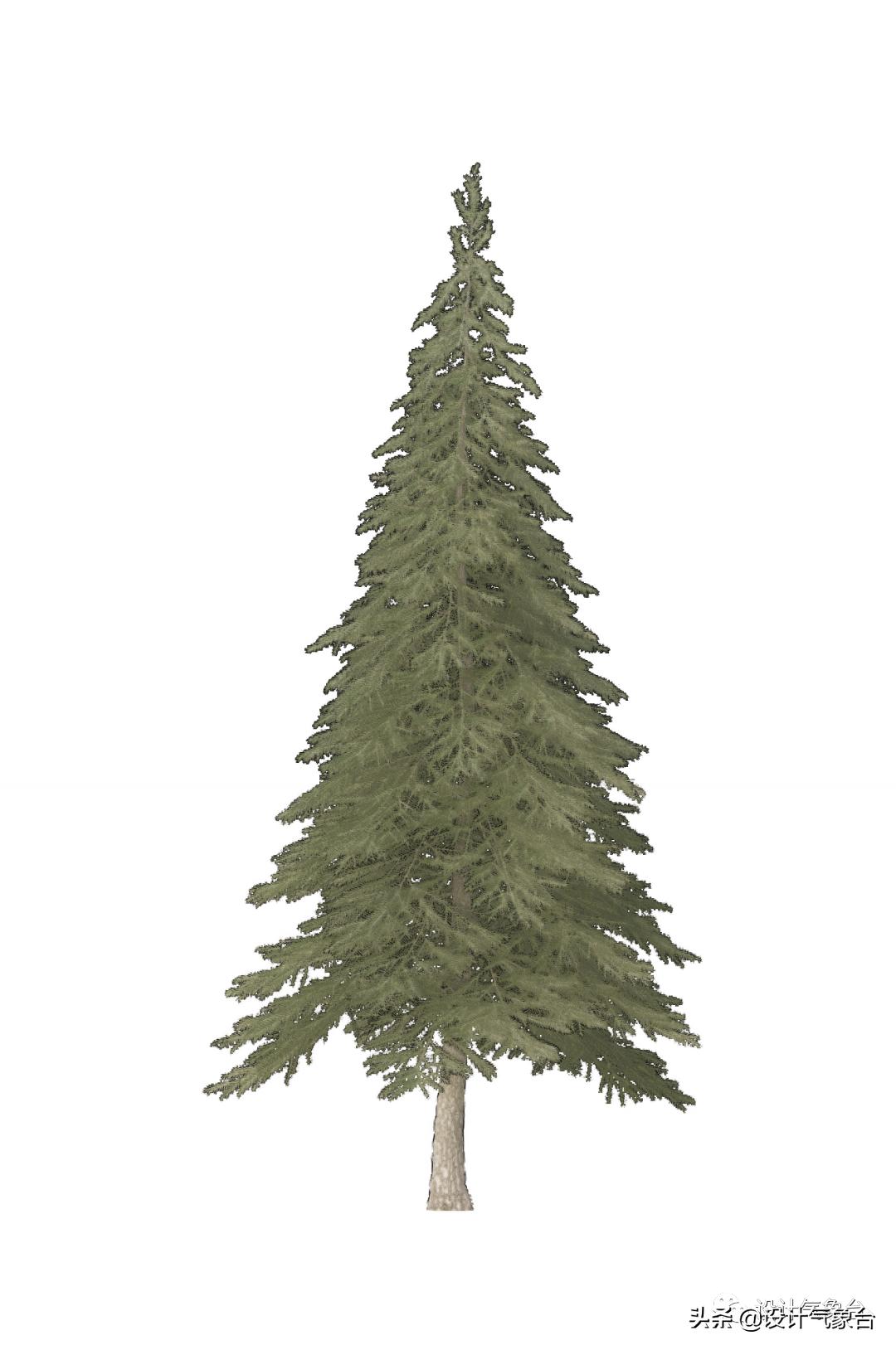 惜败扎哈事务所，但OMA的中国风方案留下一抹惊艳的色彩