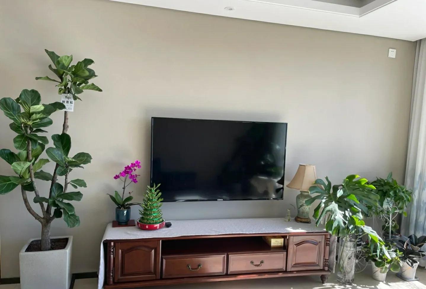 客厅放的绿植一定要一对么,客厅放绿植应该怎么放好看