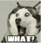 便秘吃什么食物最快通便最有效,孕晚期便秘吃什么食物最快通便