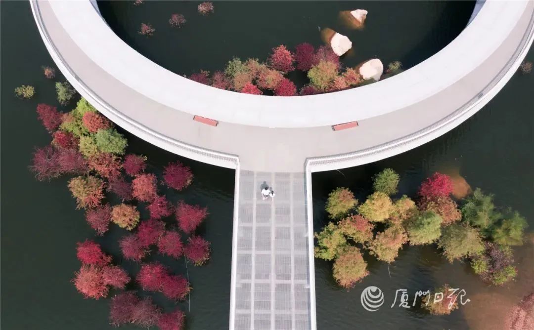 厦门秋游最佳去处,厦门周边秋游