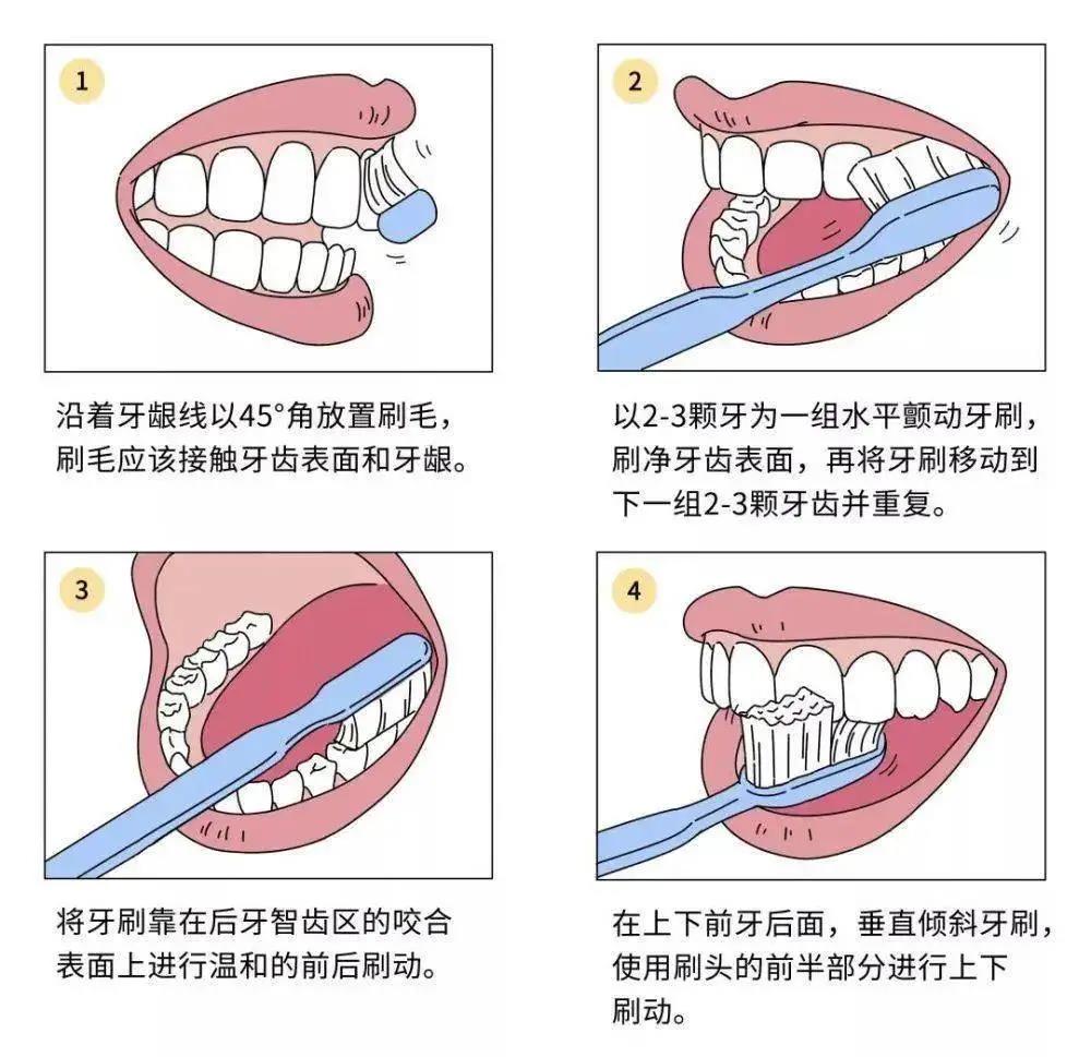 牙龈出血牙齿松动最佳补救方法,牙龈出血牙齿松动怎么办