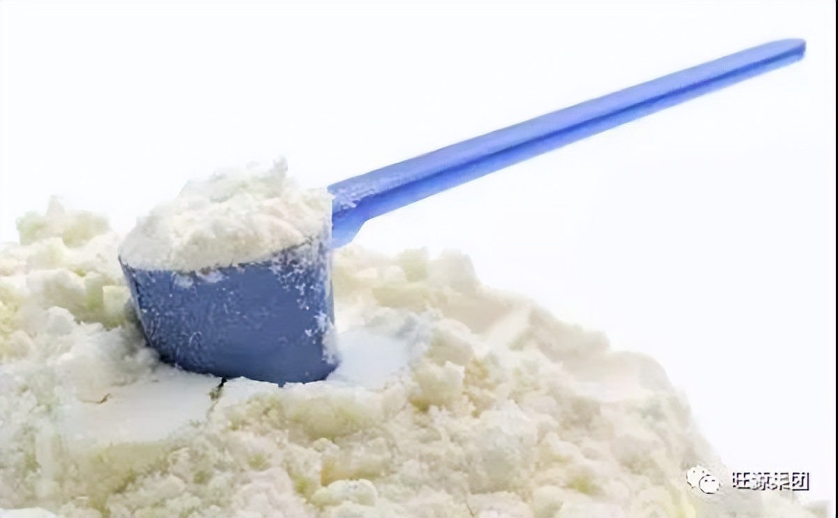 驼奶粉怎么辨别真假,如何辨别依巴特驼奶粉真假