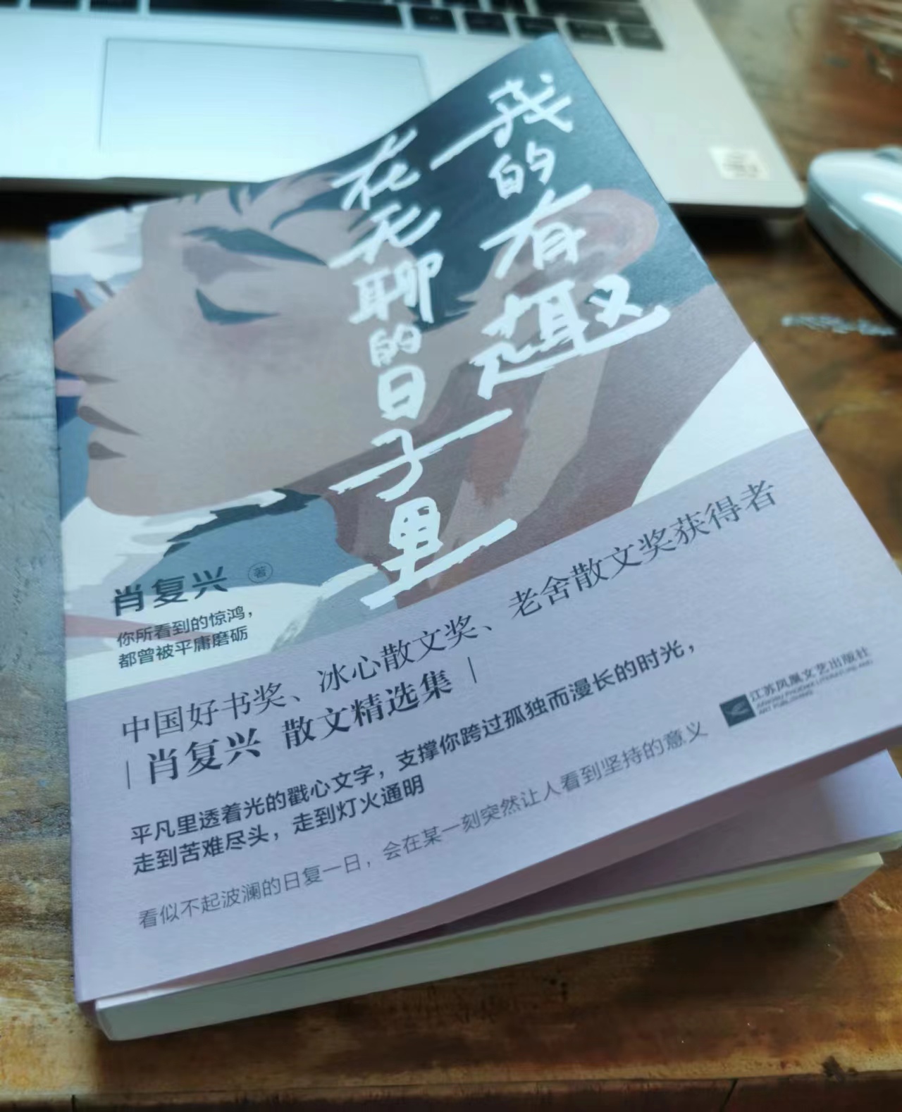 无聊的日子要找点乐趣,无聊的日子里藏着真实有趣的自我