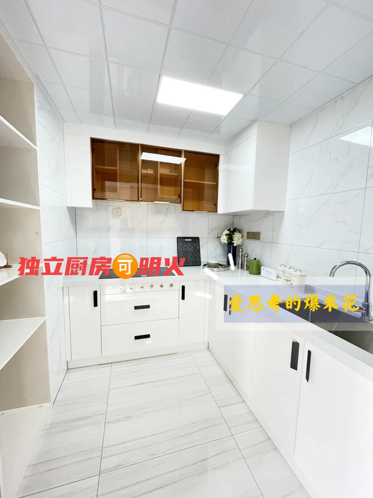 公寓现在还值得买吗,千灯湖的公寓值得入手吗