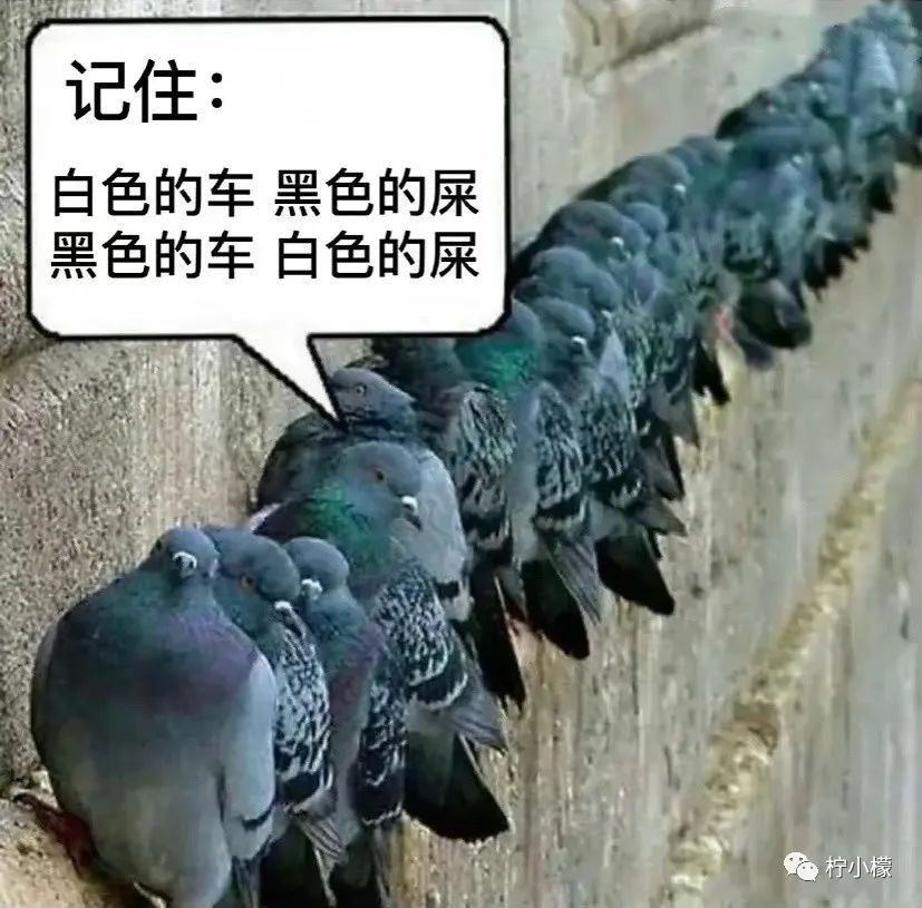 意外把蕾丝*裤内**弄丢在了学校食堂？结果...哈哈哈这下彻底尴尬了