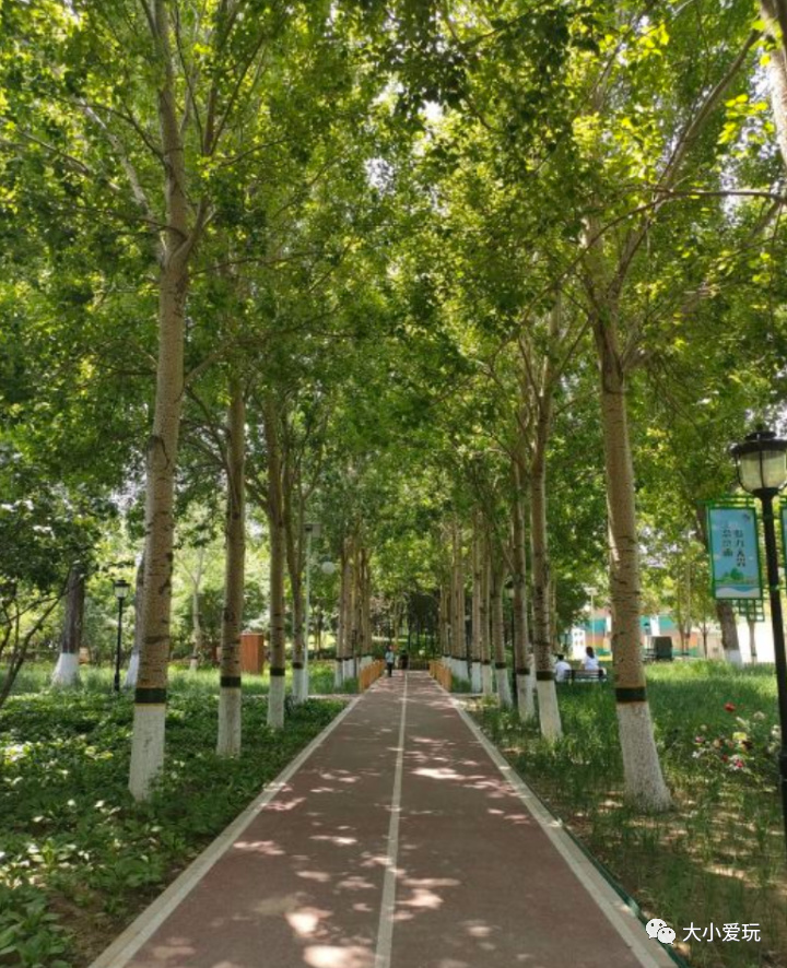 滨河公园带娃玩水,推荐一个好地方滨河公园