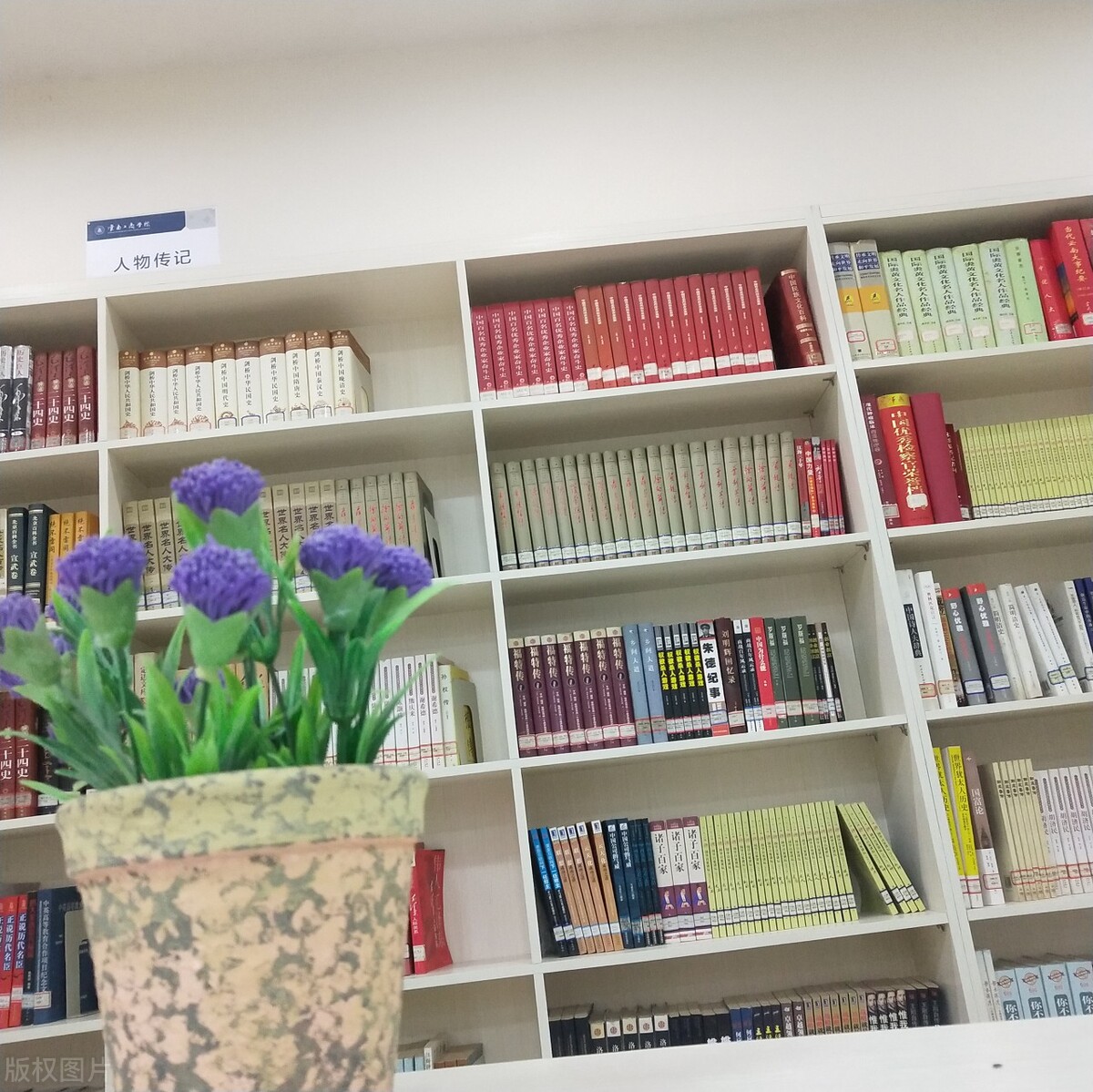 高职专升本每年全国有多少,高职专升本通过率有多少