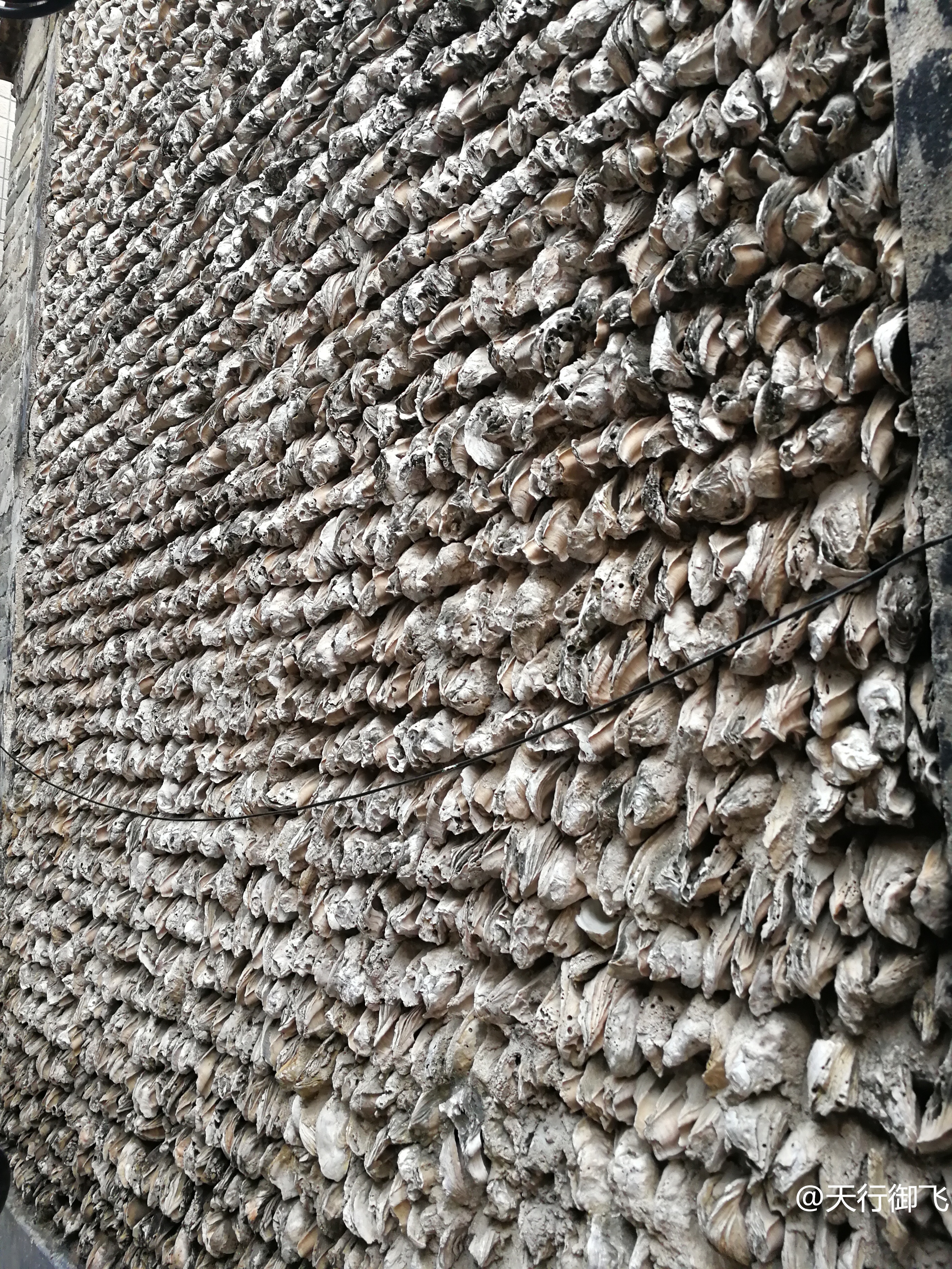 小洲村旅游景点地图,小洲村一日游最佳攻略