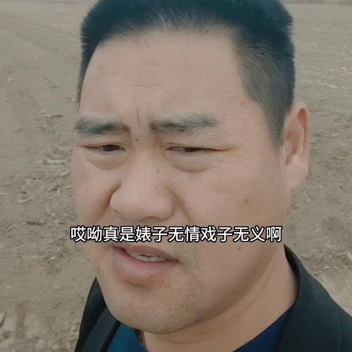 鍗佷簩鍗佷笁鍗佸洓鑻辫,鍗佷簩鍗佷笁鍗佸洓