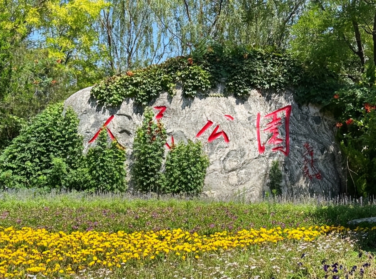 河西区适合玩的地方有哪些,河西最值得去的地方