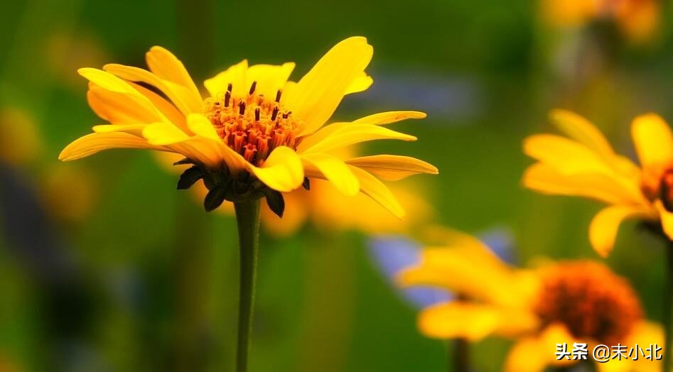 如果相爱的人不能再爱了怎么办,如果相爱的人不能在一起该怎么办