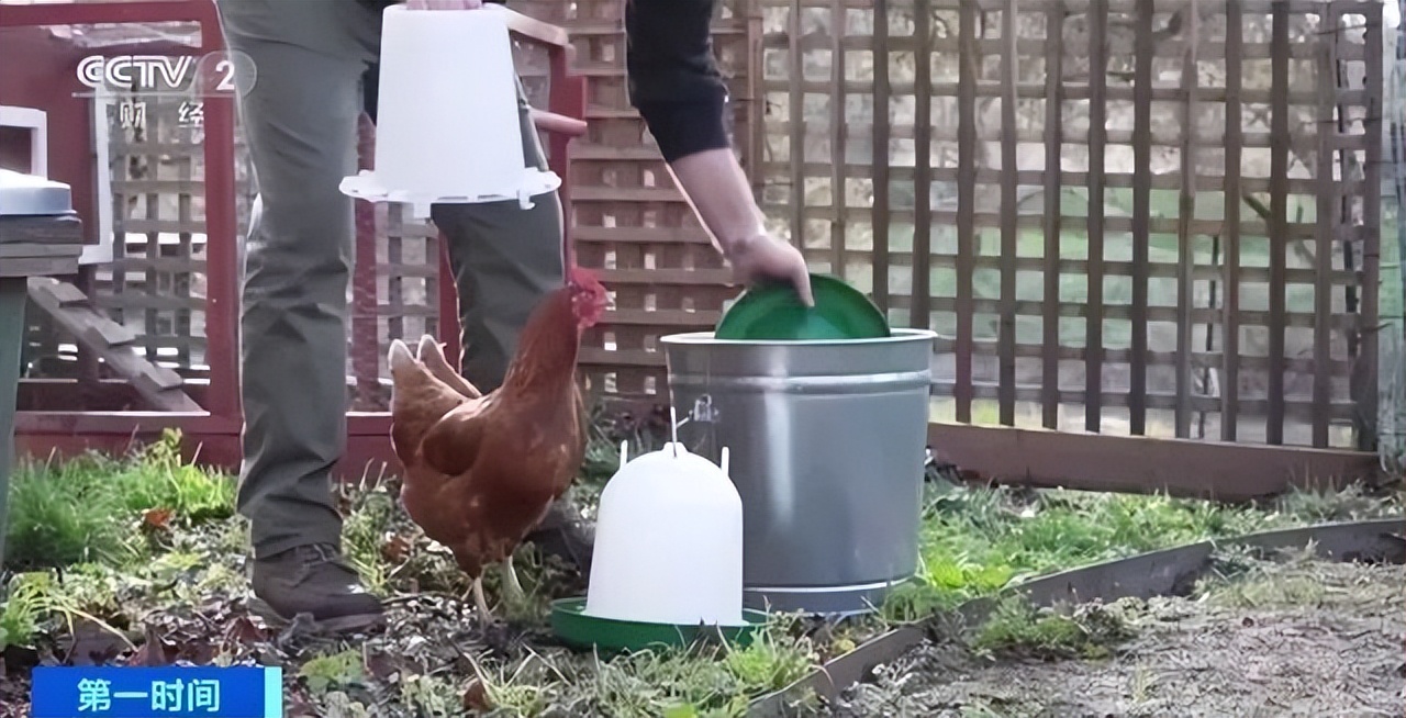 台湾茶叶蛋10元一个,台湾多地限购茶叶蛋