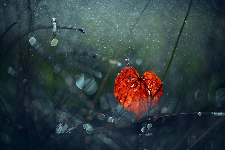 大自然的美景秋天摄影照片,美丽的大自然春夏秋冬图片大全