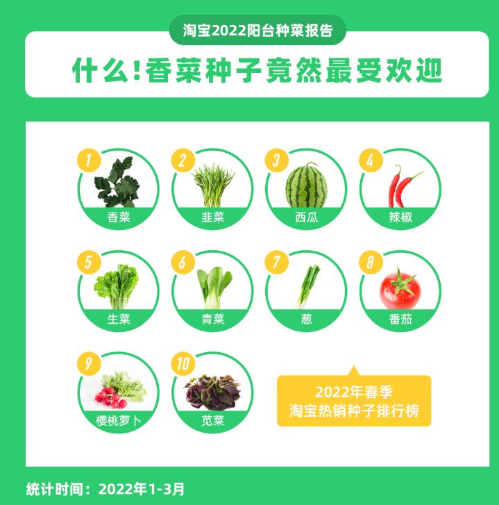 全自动阳台种菜神器,阳台立体种菜神器