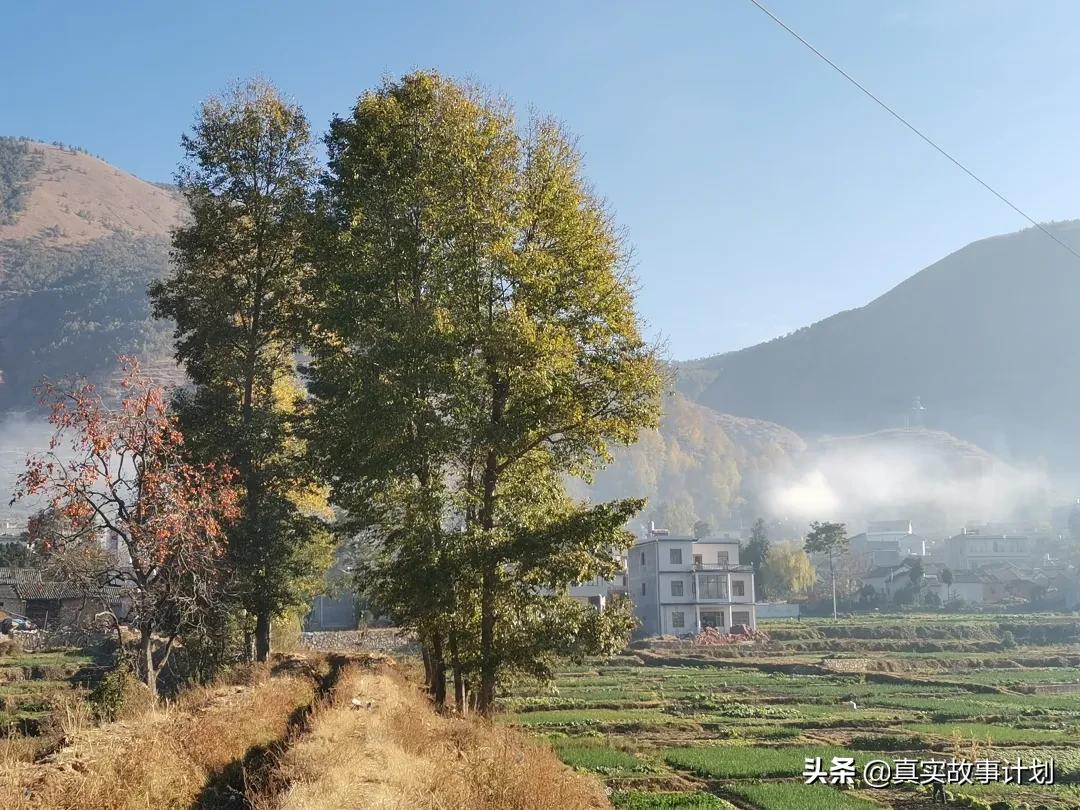 免费理疗骗局大揭秘,老人免费理疗靠谱吗