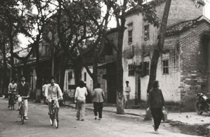 长城公司仅用九个月集资10多亿，波及17省，93年中央为何紧急终止