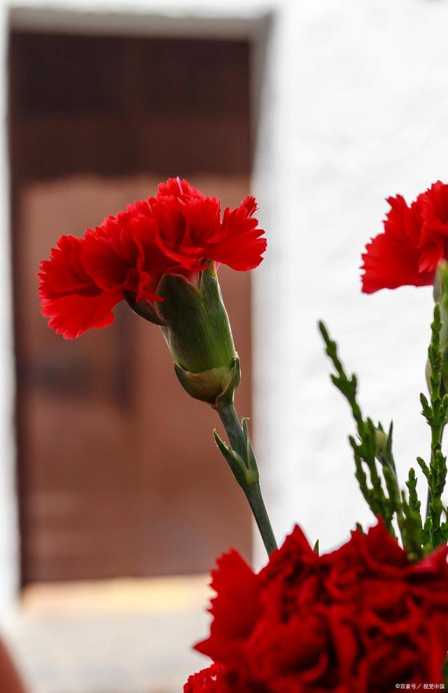 送教师节向日葵花祝福语,教师节送几朵花比较合适